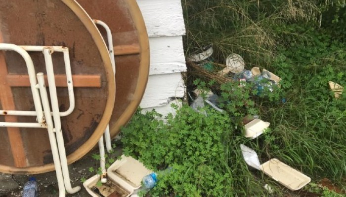 Eco-School - Clean up event